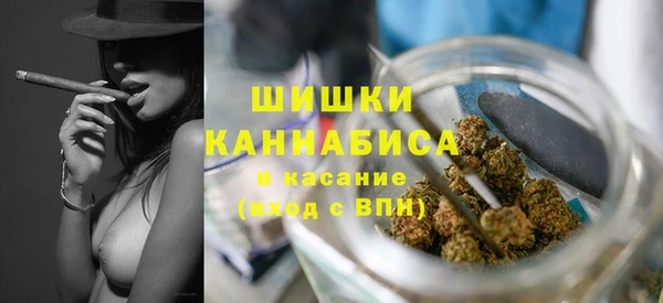 кокс Арсеньев