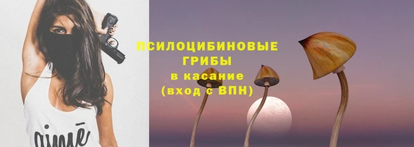 кокс Арсеньев